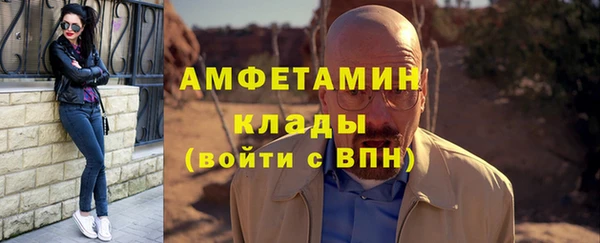 индика Волоколамск