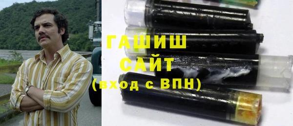 индика Волоколамск
