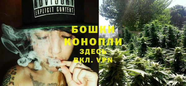 мдпв Володарск