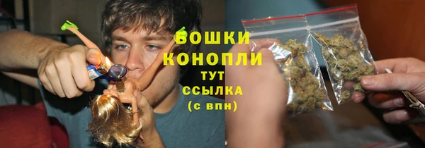 мдпв Володарск