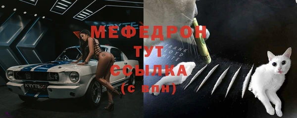 мдпв Володарск