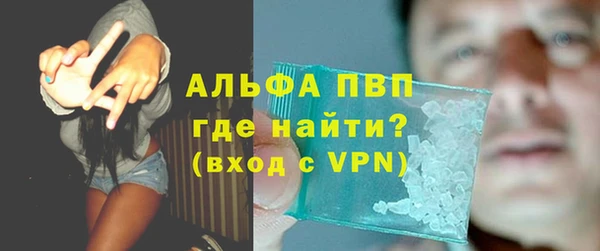 индика Волоколамск