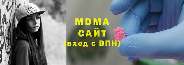 индика Волоколамск