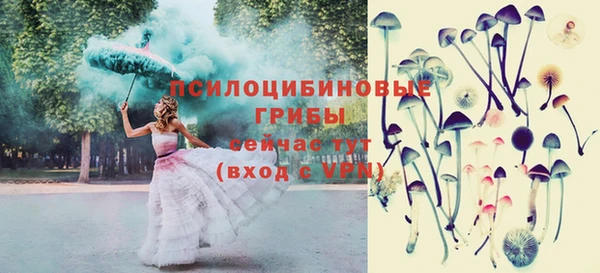 мдпв Володарск
