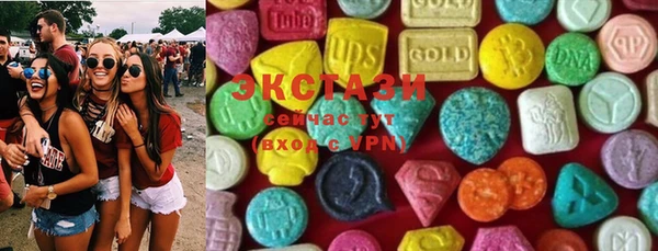 индика Волоколамск