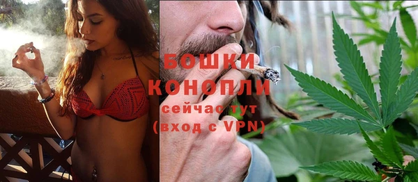 индика Волоколамск