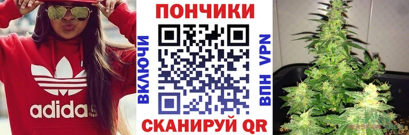 Бошки марихуана план  Выборг 